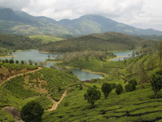 yelagiri forest hill